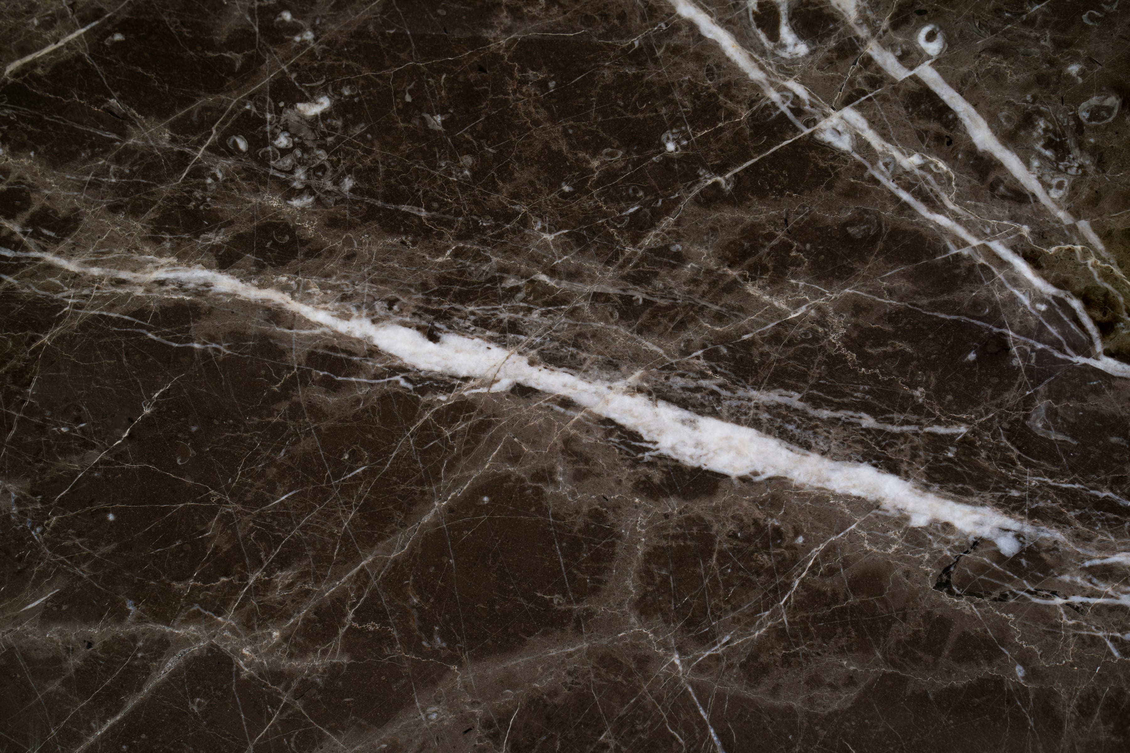 Dark brown marble with a bold white vein across the stone